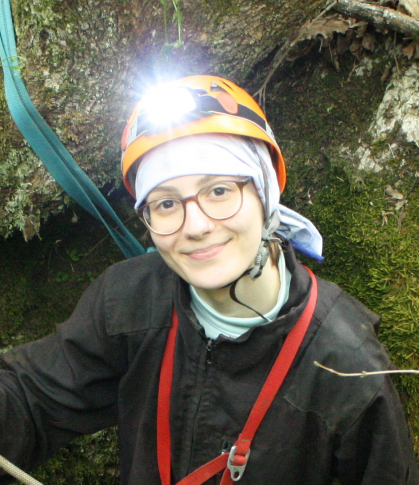 Melek Işık Şahin